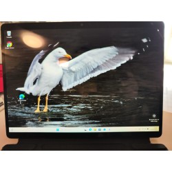 PRO8
